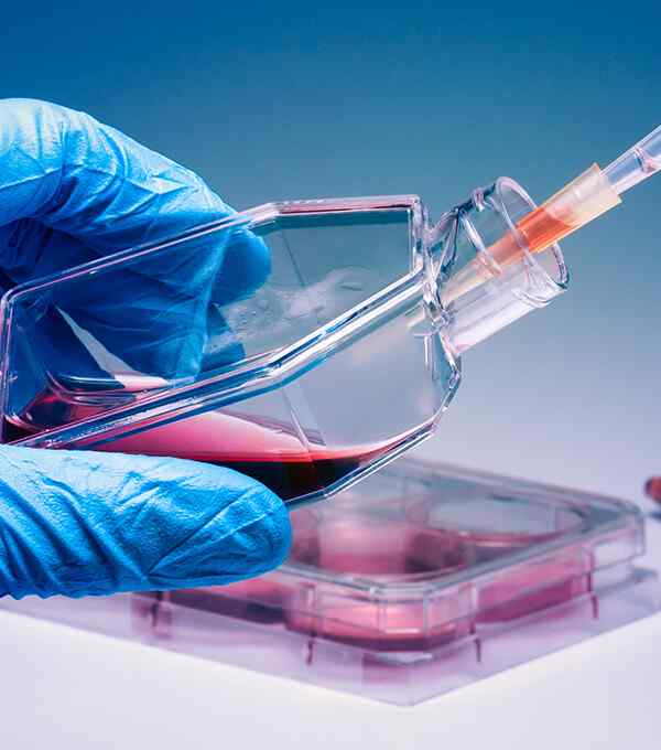 https://adp-pharma.com/wp-content/uploads/2020/04/service_5.jpg